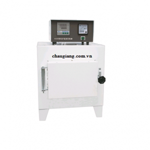 Lò nung SX-4-10 1000 độ C